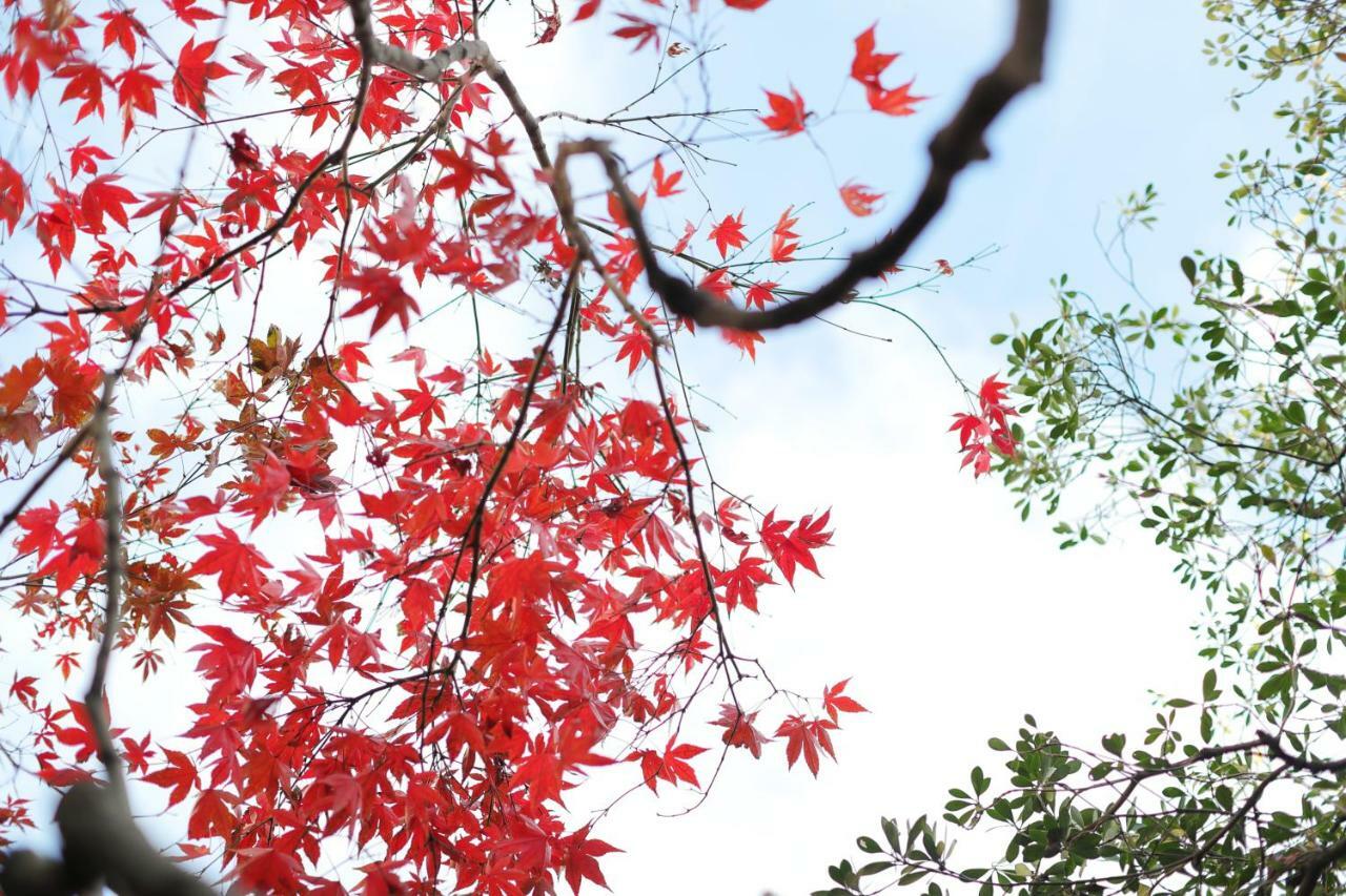 Ryokan Tanoya Kyoto Ngoại thất bức ảnh