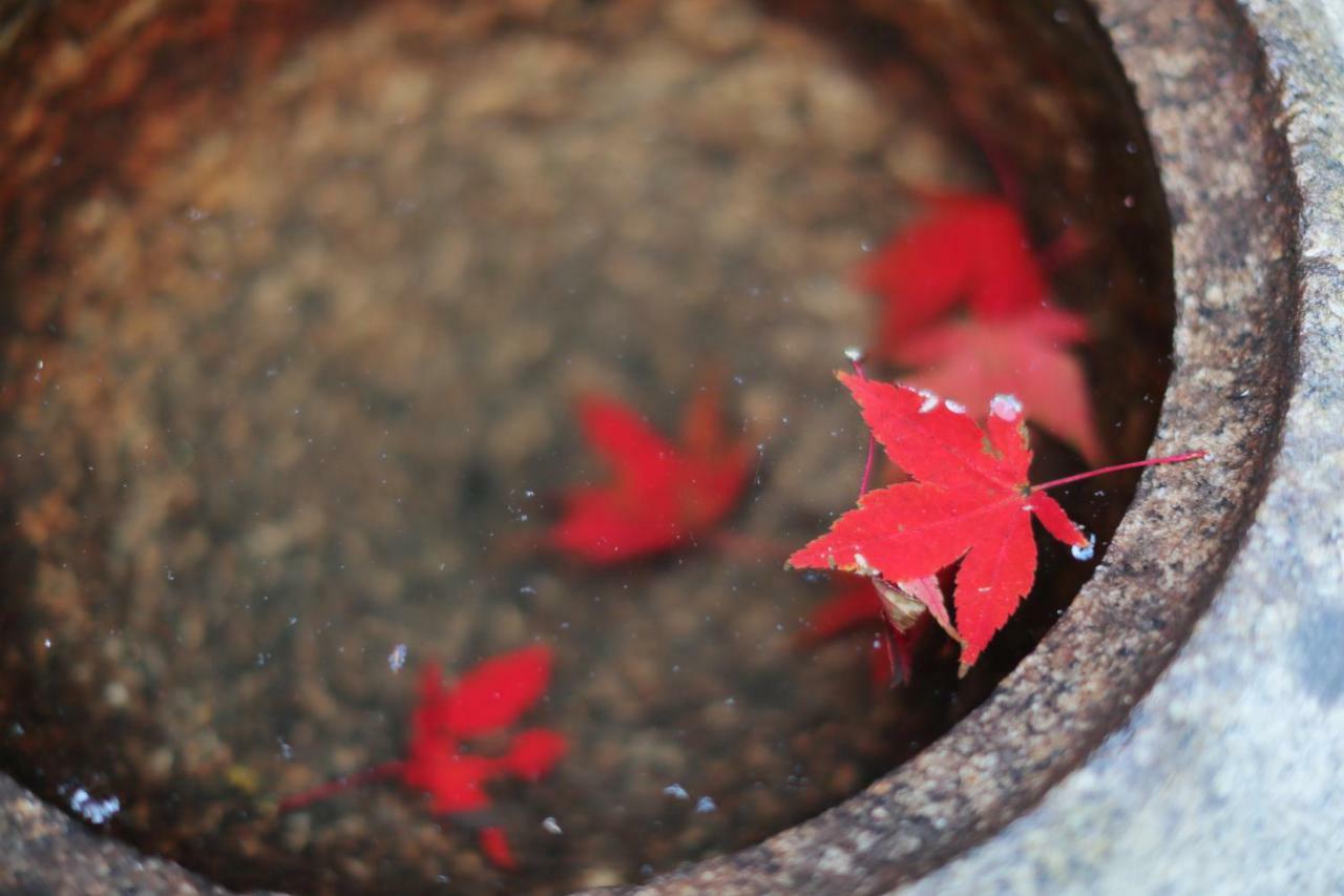 Ryokan Tanoya Kyoto Ngoại thất bức ảnh