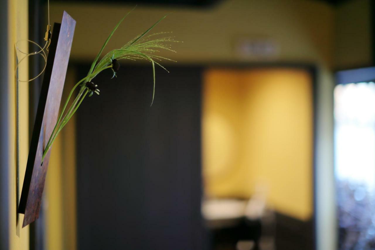 Ryokan Tanoya Kyoto Ngoại thất bức ảnh